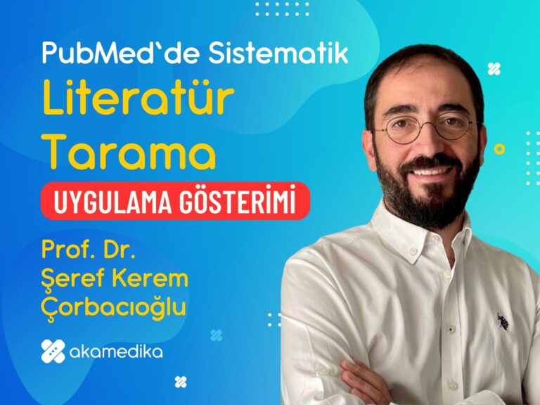 Sistematik Literatür Tarama: Uygulama Gösterimi