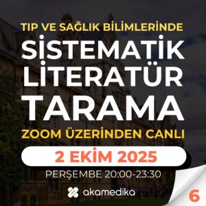 sistematik literatür tarama 6