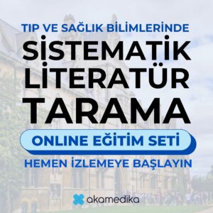 sistematik literatür tarama