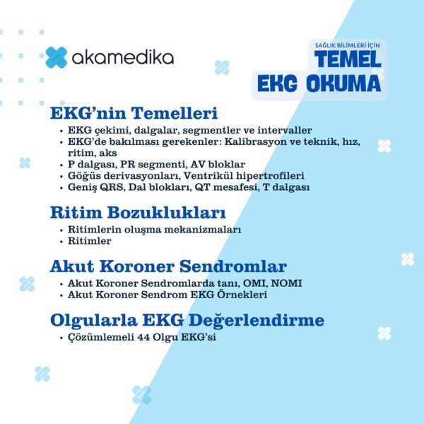 Temel EKG Okuma - Görsel 2