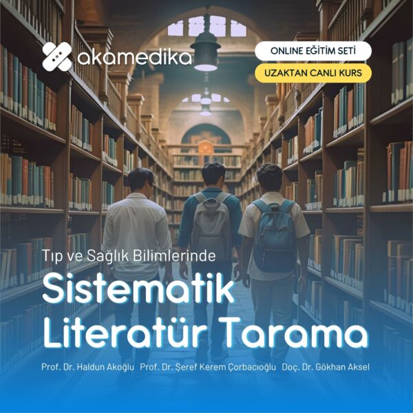 Sistematik Literatür Tarama