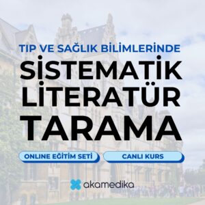 sistematik literatür tarama